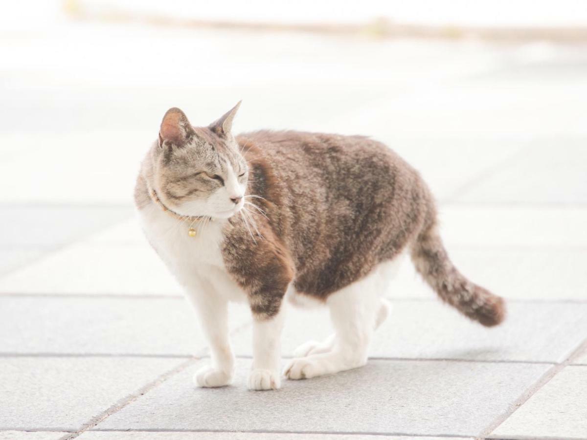 호텔 에어리어원 히로시마 윙 히가시히로시마 외부 사진